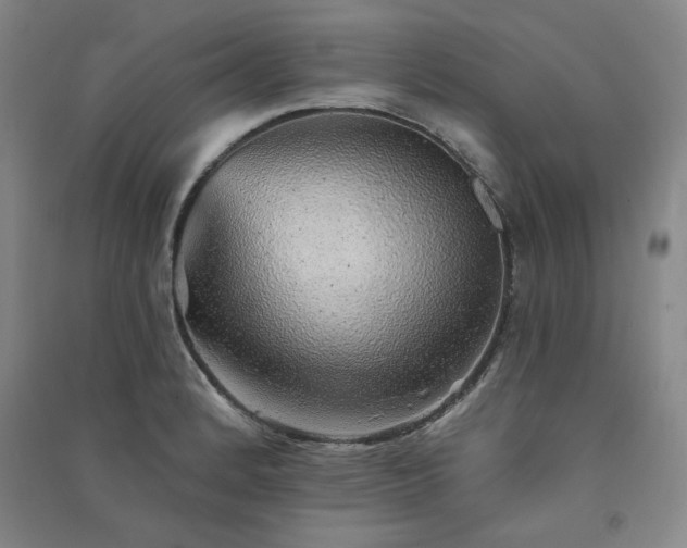 X0000091331184200708171345