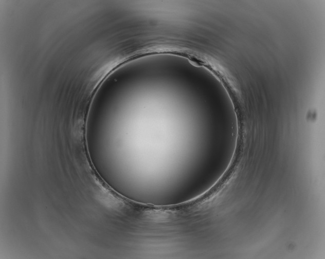 X0000091331185200708171345