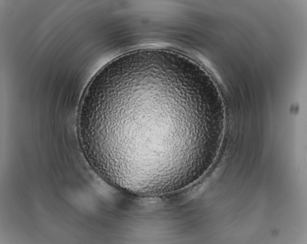 X0000091331186200708171345