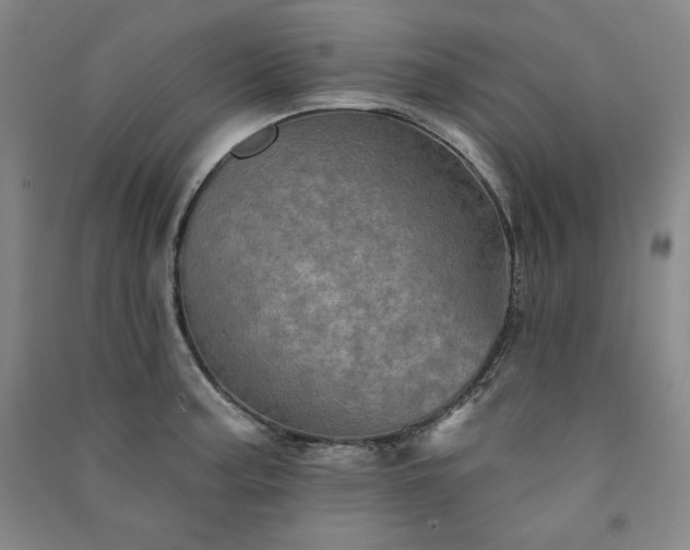 X0000091331187200708171345