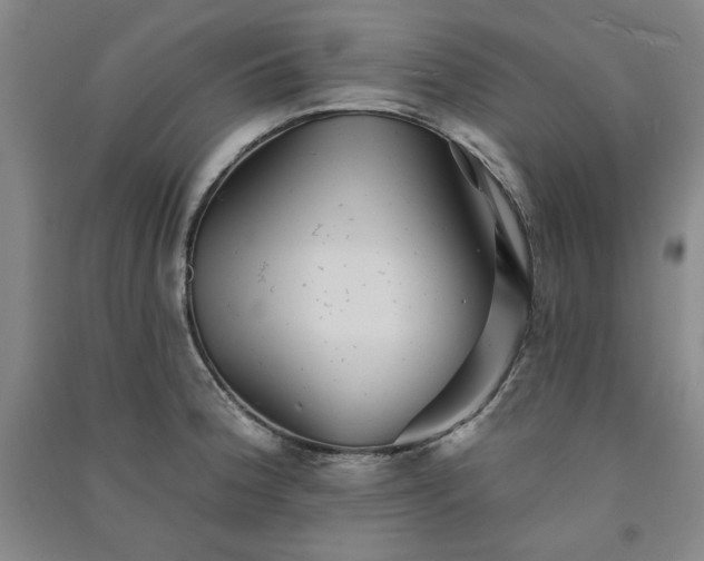 X0000091331188200708171345