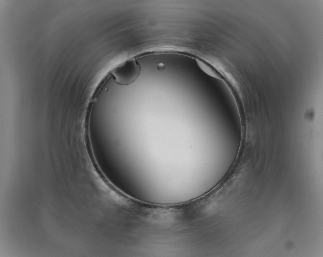 X0000091331189200708171345