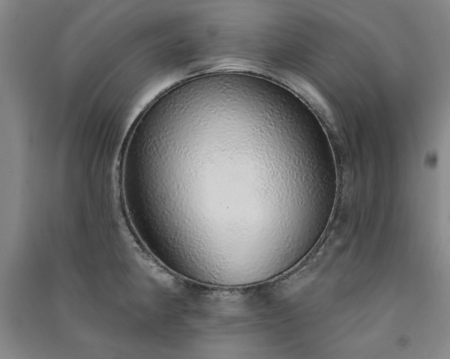 X0000091331190200708171345