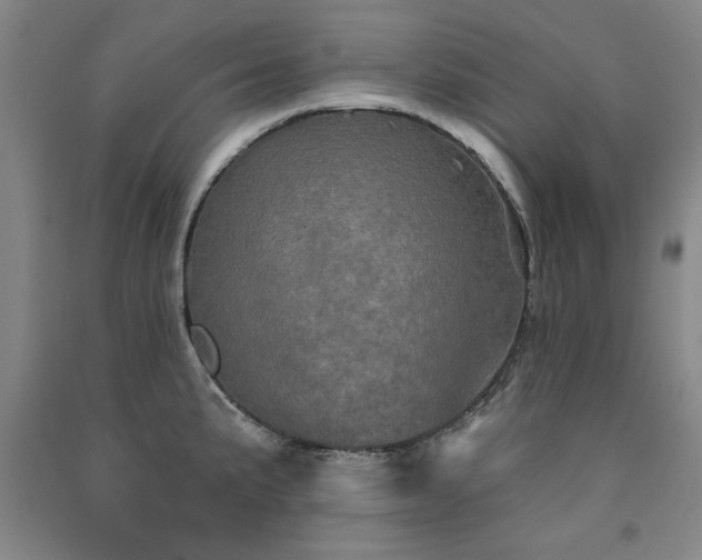 X0000091331191200708171345