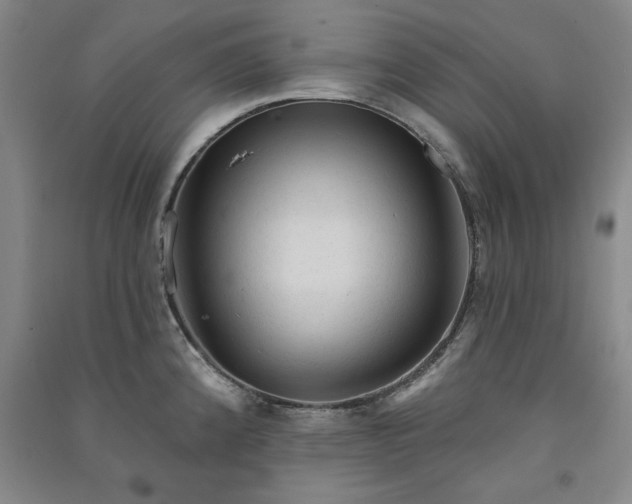 X0000091331192200708171345