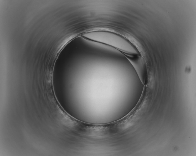 X0000091331193200708171345