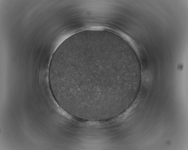 X0000091331194200708171345