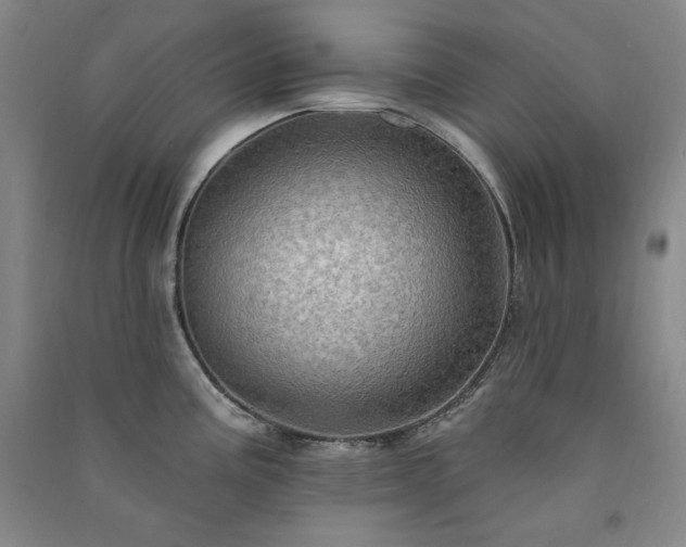 X0000091331195200708171345