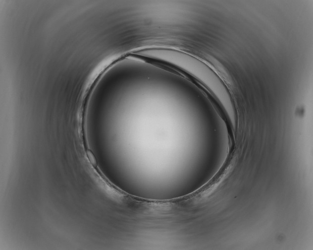 X0000091331196200708171345