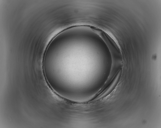 X0000091331197200708171345