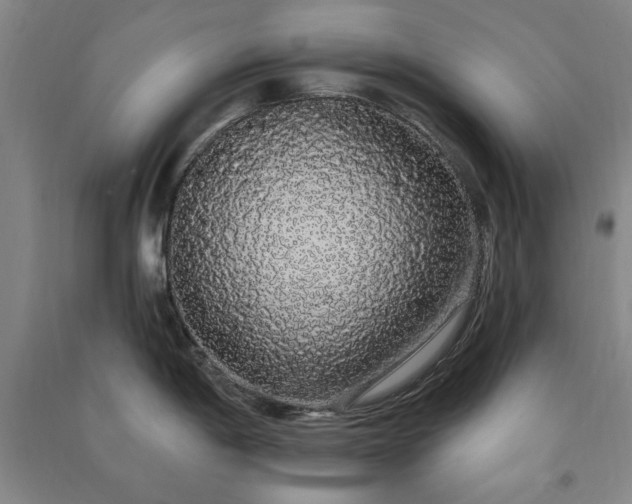 X0000091331198200708171345