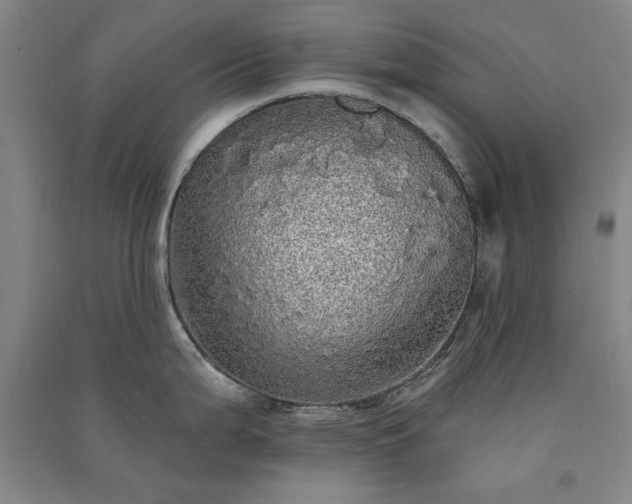 X0000091331199200708171345