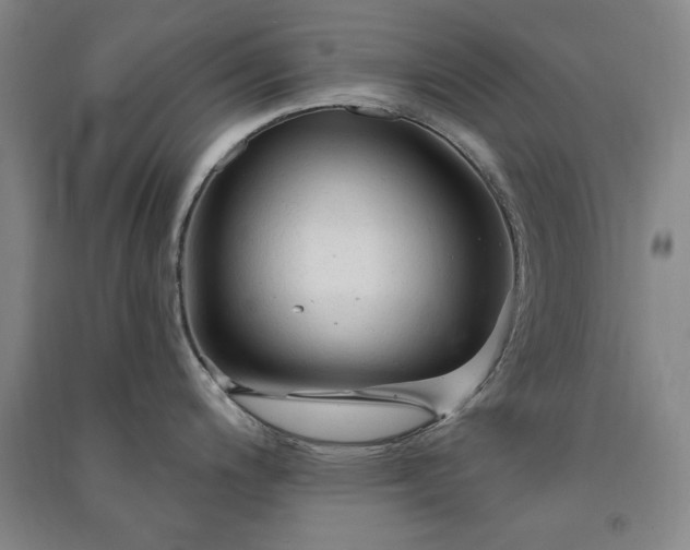 X0000091331200200708171345