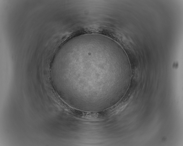 X0000091331201200708171344