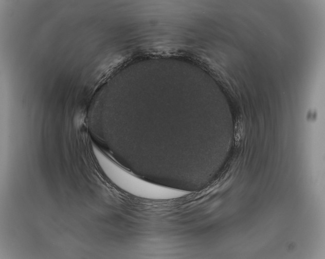 X0000091331202200708171344