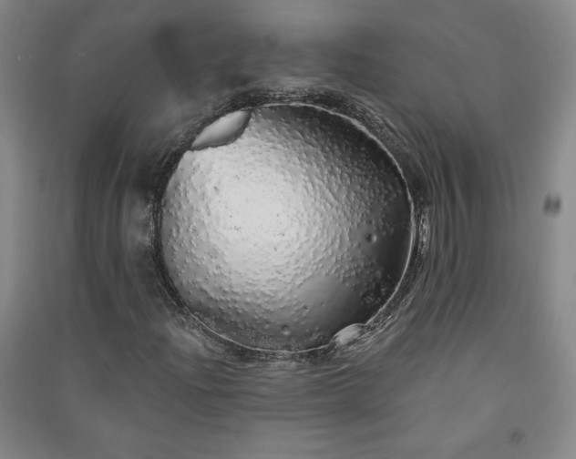 X0000091331204200708171344