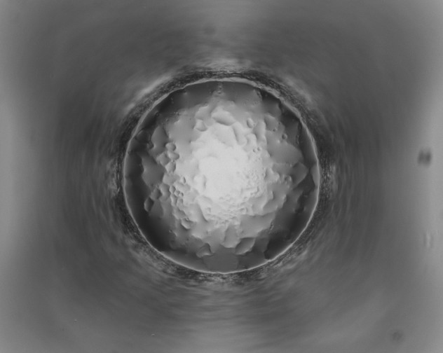 X0000091331205200708171344