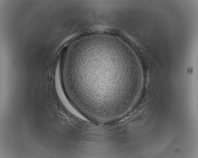 X0000091331206200708171344