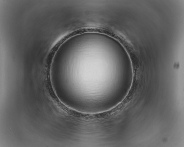 X0000091331208200708171344