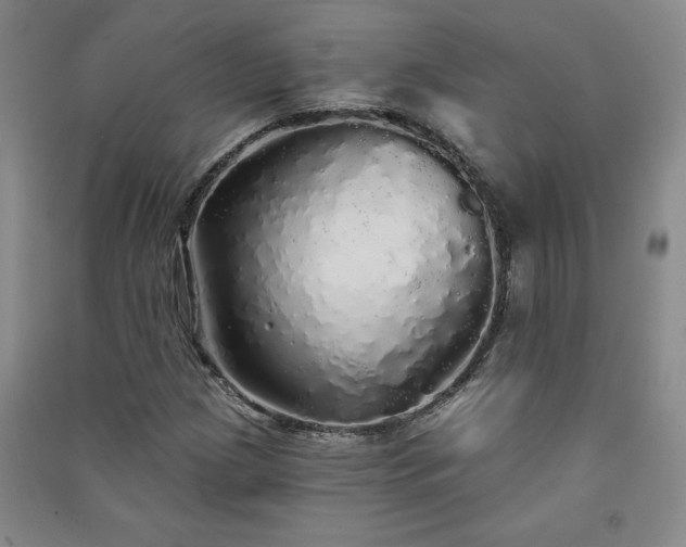 X0000091331209200708171344