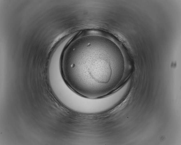 X0000091331210200708171344