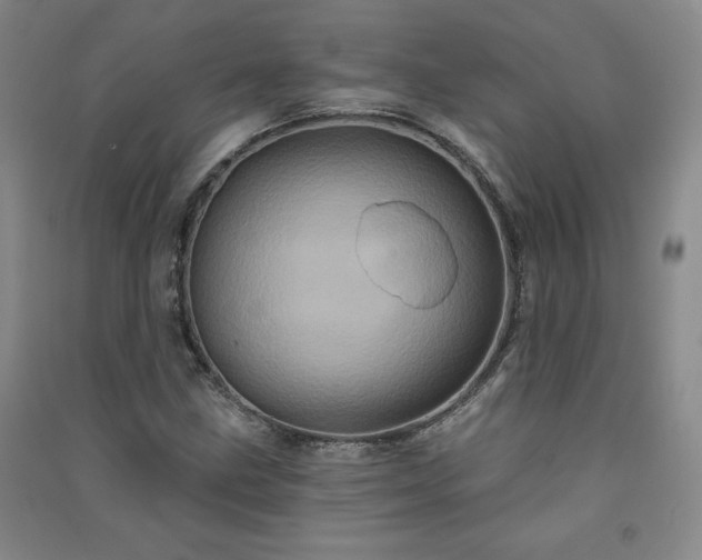 X0000091331211200708171344