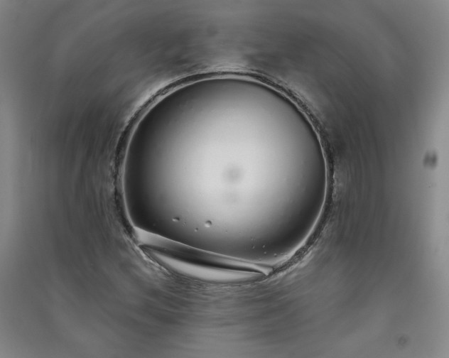 X0000091331212200708171344