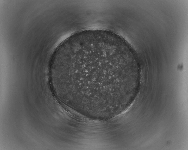 X0000091331213200708171344