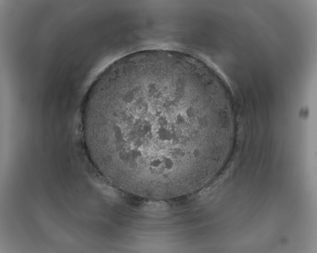 X0000091331215200708171344