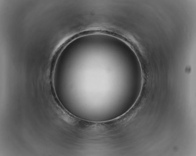 X0000091331216200708171344