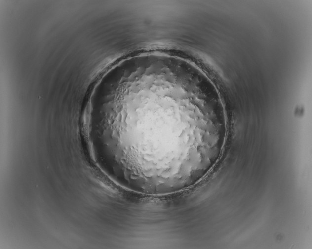 X0000091331217200708171344