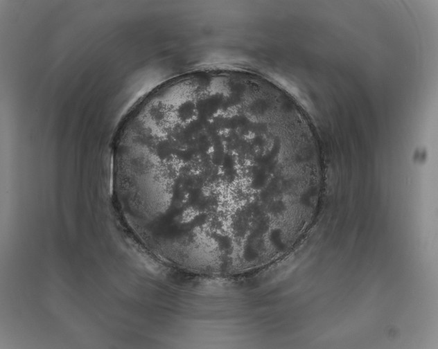 X0000091331219200708171344