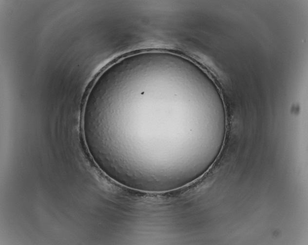 X0000091331220200708171344