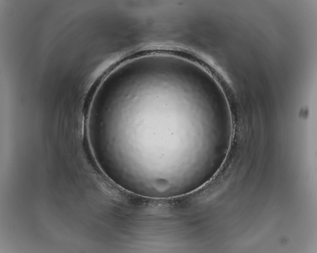 X0000091331221200708171344