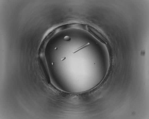 X0000091331222200708171344