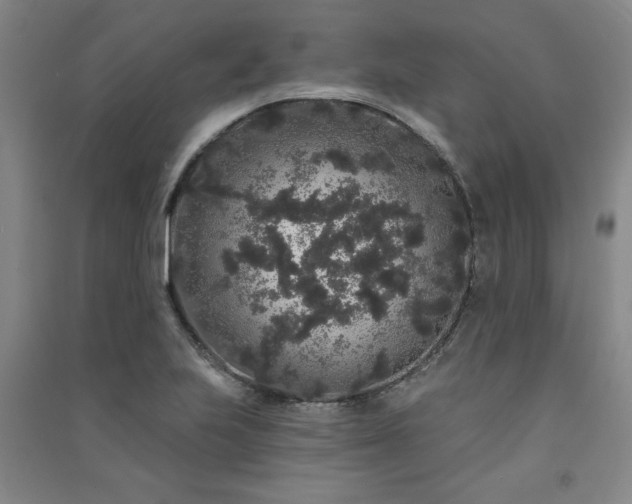 X0000091331223200708171344