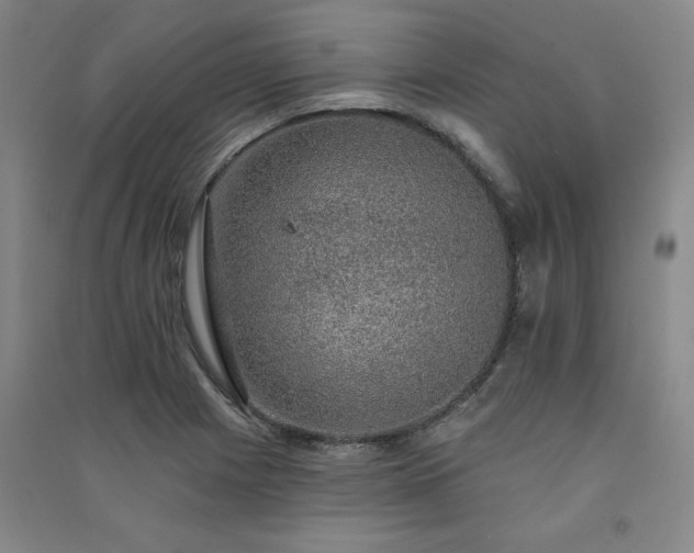 X0000091331225200708171344