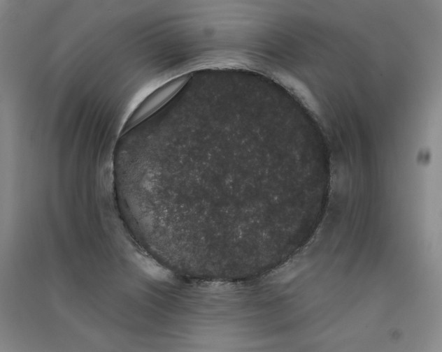 X0000091331226200708171344