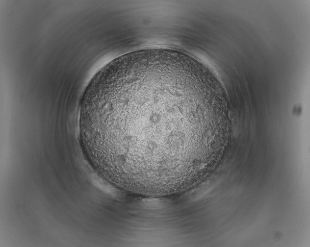 X0000091331227200708171344