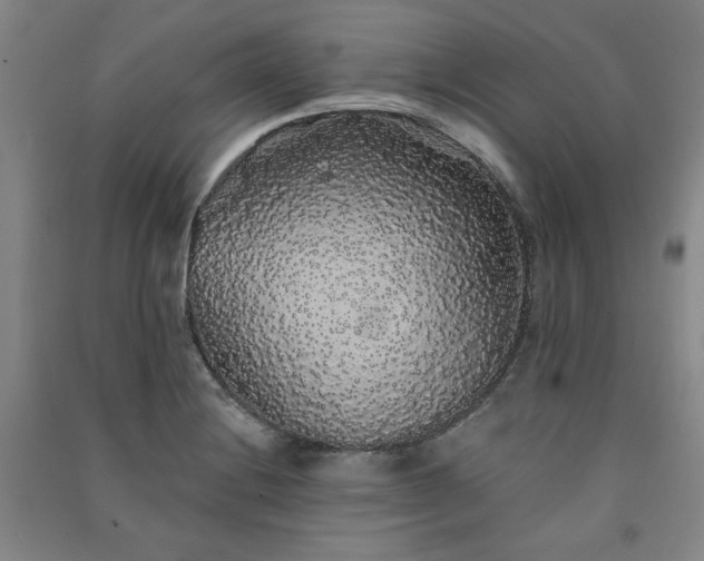 X0000091331228200708171344