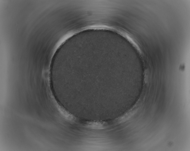 X0000091331229200708171344