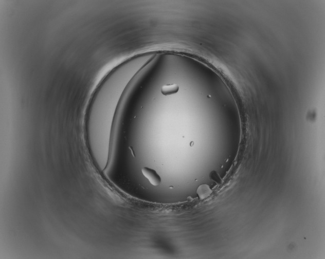 X0000091331230200708171344