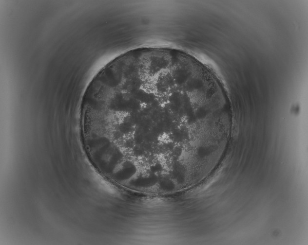 X0000091331231200708171344