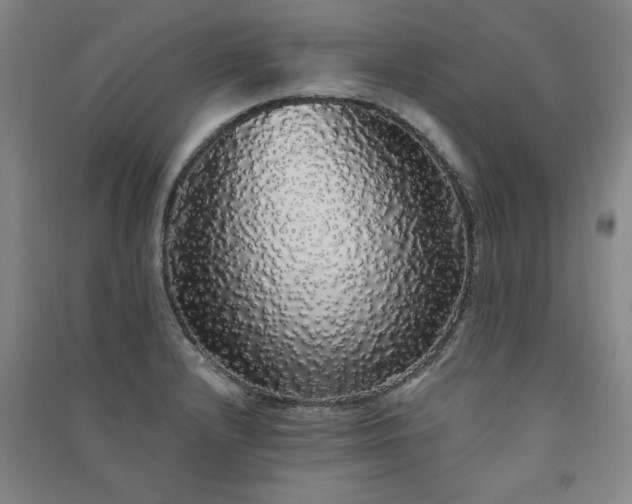 X0000091331232200708171344