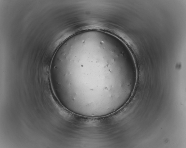 X0000091331233200708171344