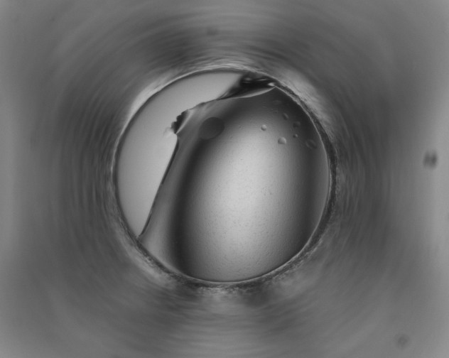 X0000091331234200708171344