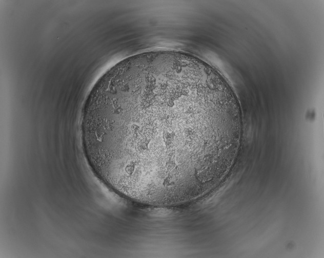 X0000091331235200708171344