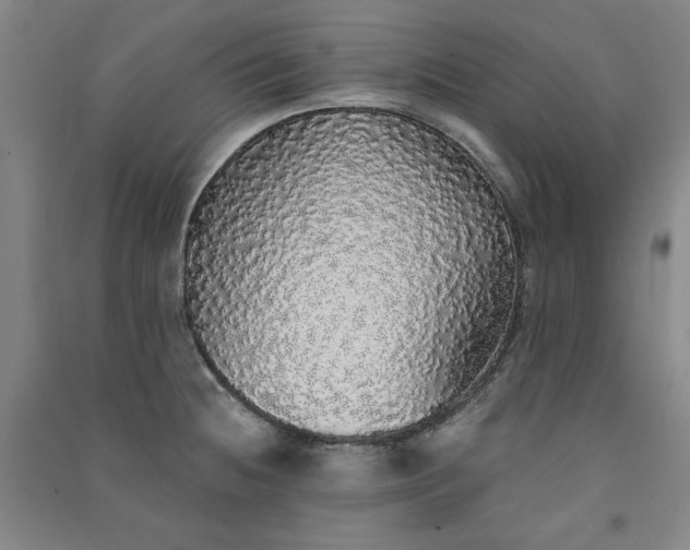 X0000091331236200708171344