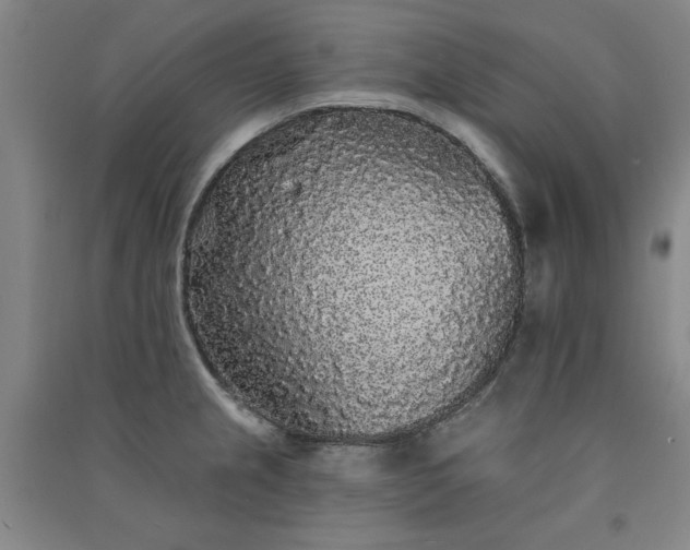 X0000091331237200708171344