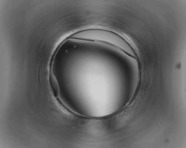 X0000091331238200708171344